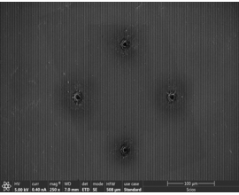 表面及截面形貌观察